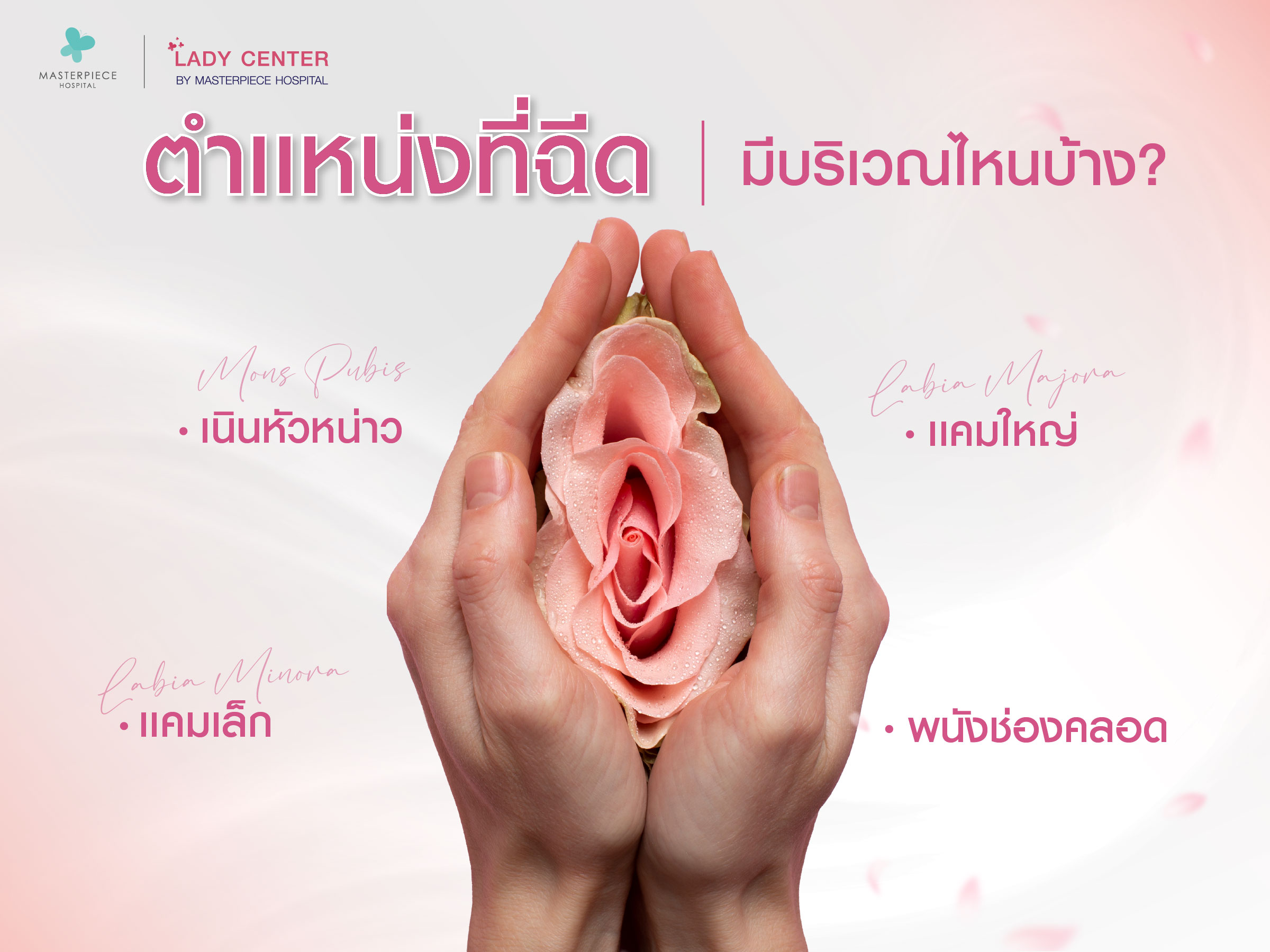 ตำแหน่งที่ฉีดฟิลเลอร์น้องสาว