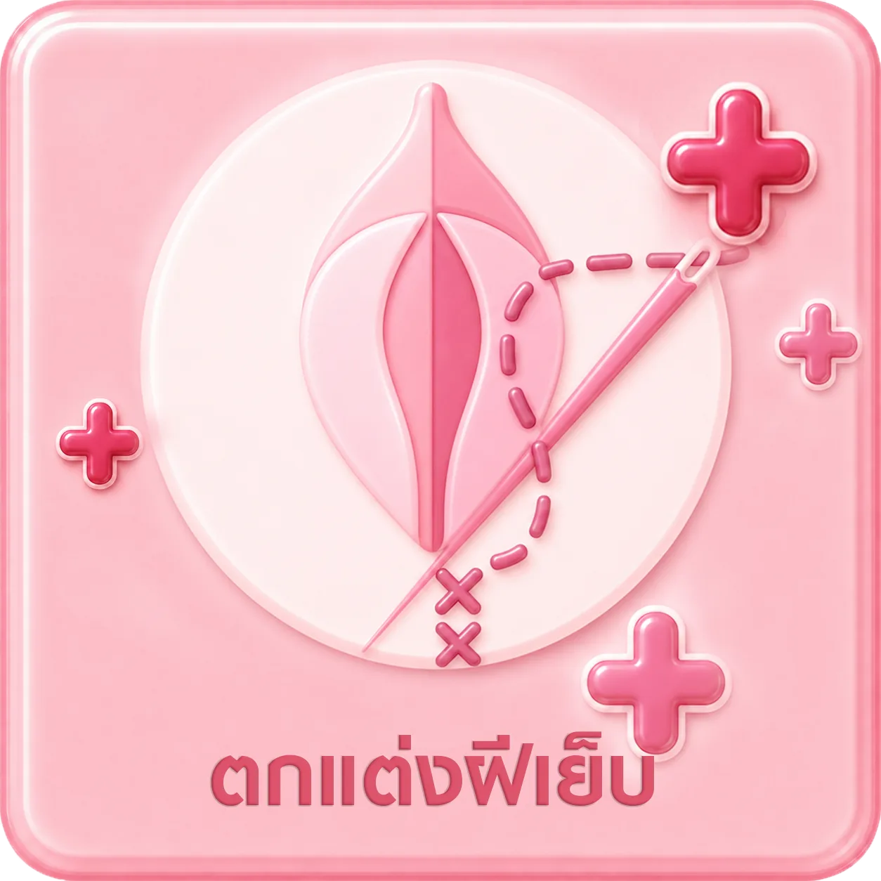 ตกแต่งฝีเย็บ